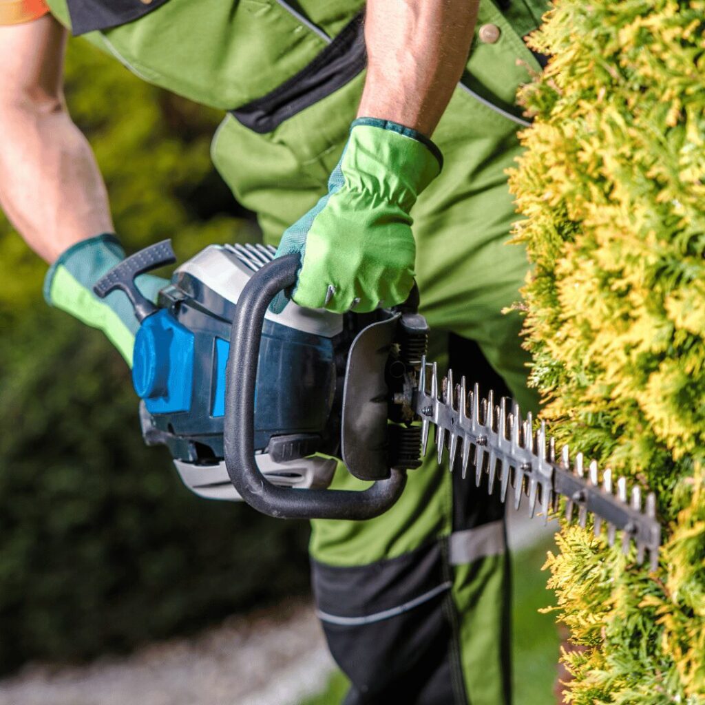 06. Giardinaggio Aziendale a Milano Cura e Manutenzione del Verde