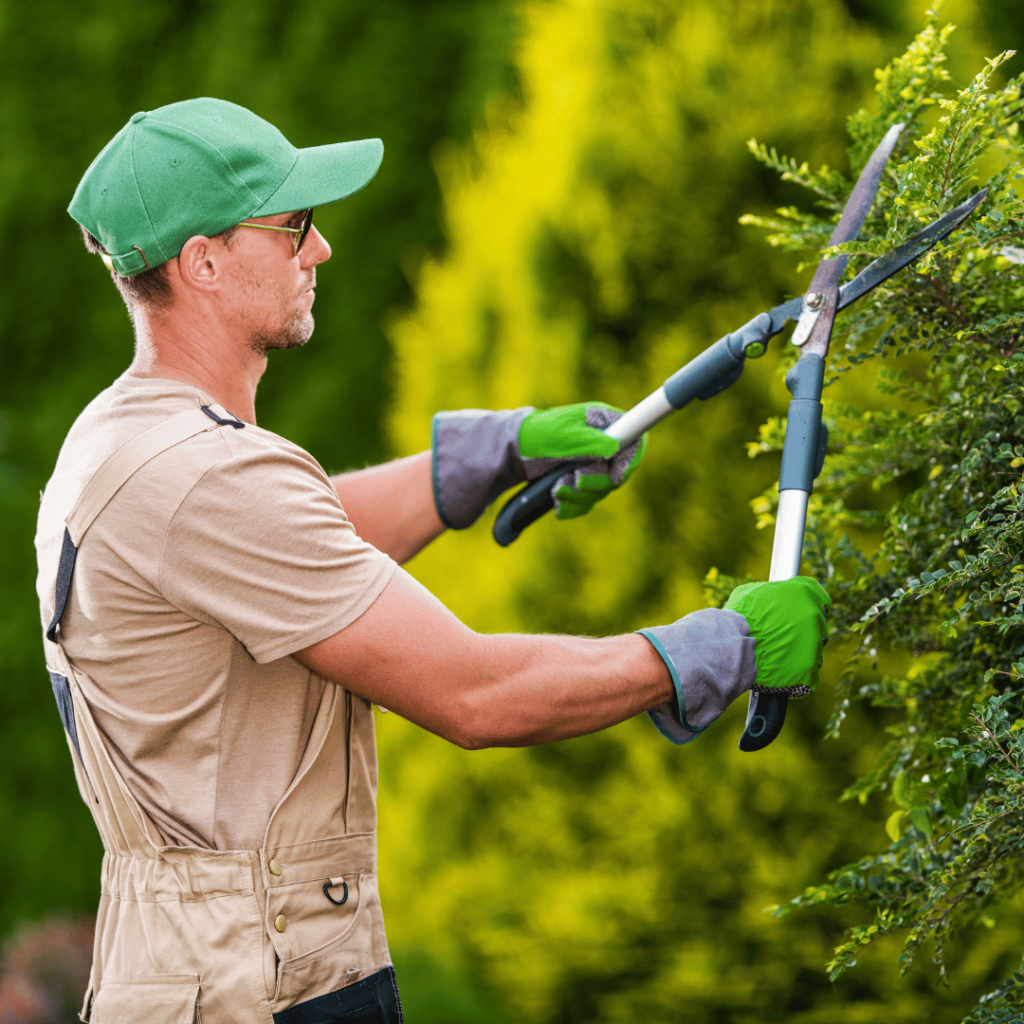 07. Giardinaggio Privato a Milano Manutenzione e Cura del Tuo Giardino