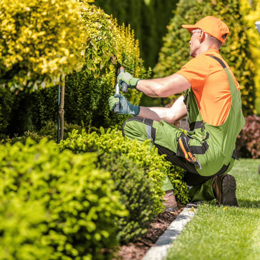 10. Servizi di Giardinaggio per Case e Ville a Milano